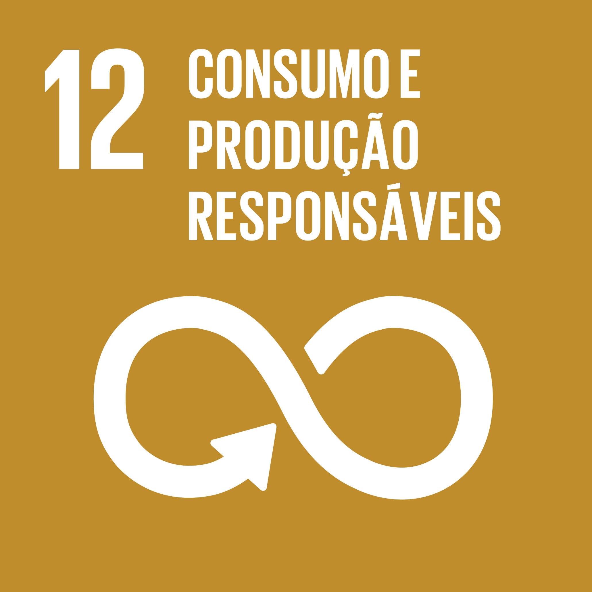 ODS 12