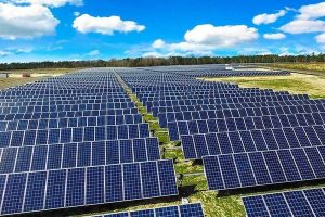 Vale a pena energia solar por assinatura para empresas? Veja o impacto no lucro e no fluxo de caixa